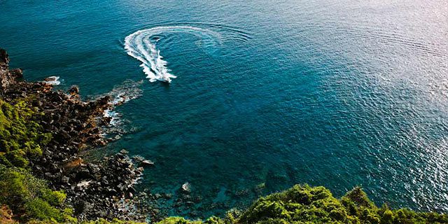 Exclusive trip d ambre ilot bernaches coin mire (19)